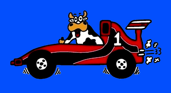 CAMISETA NI�O VACA FORMULA 1 LATERAL